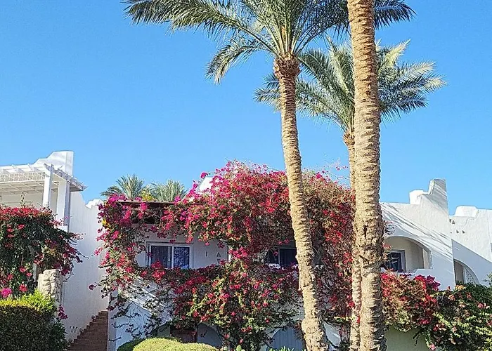 Domina Coral Bay Apartment *