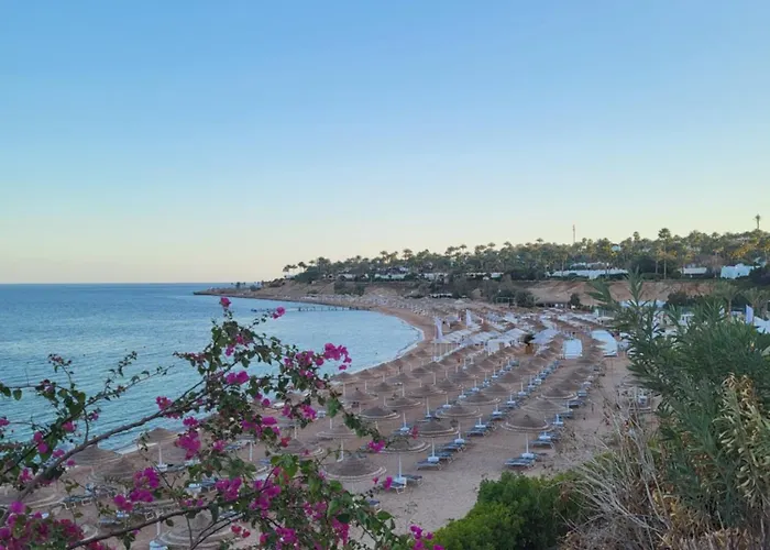 Domina Coral Bay * Sharm El-Sheikh